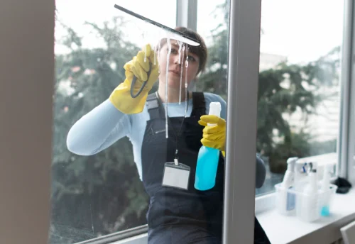 Nettoyage de vitres intérieures et extérieures à Sainte-Soline
